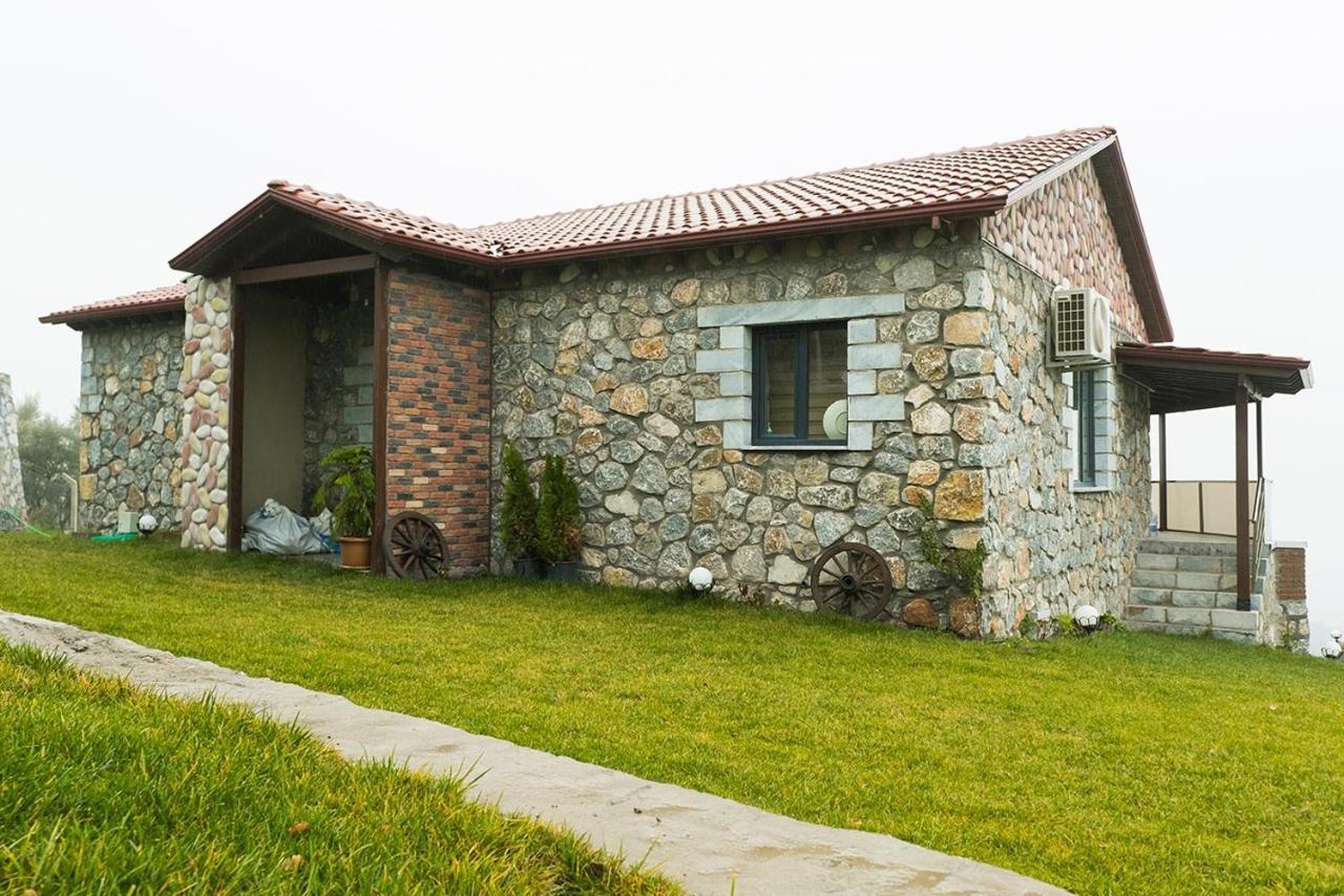 Iznik Askania Екстериор снимка